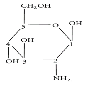 struttura chimica della glucosamina