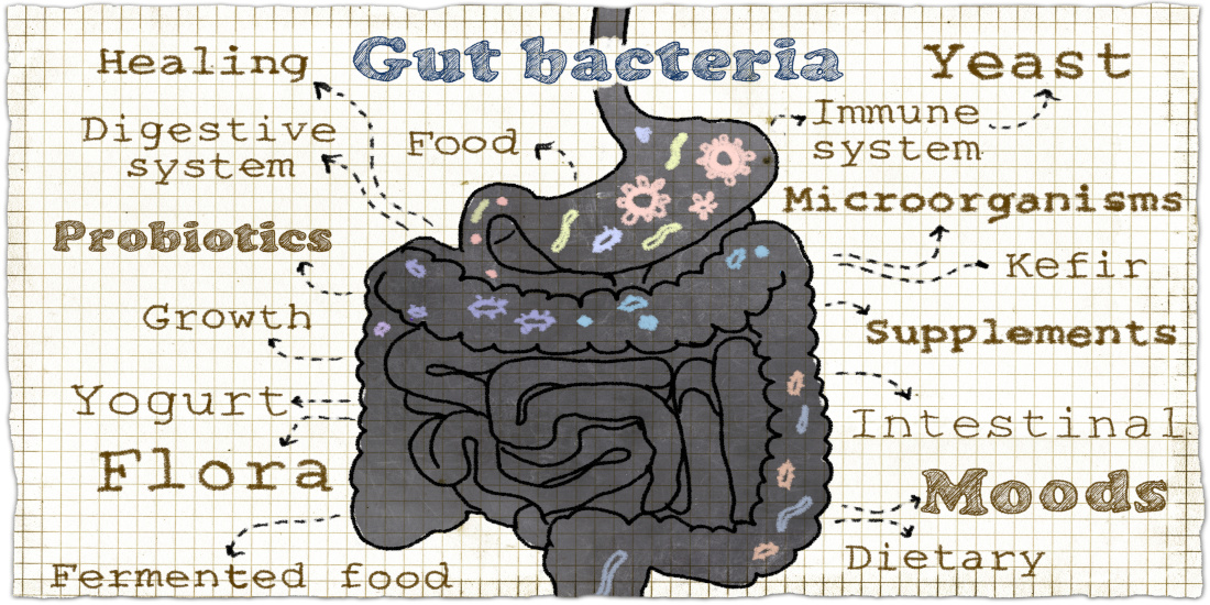 Microbiota intestinale e cervello, ultime evidenze