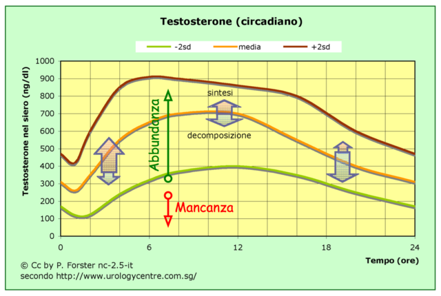 testosterone grafico ritmo circadiano