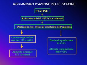 grafico statine e loro meccanismo d'azione