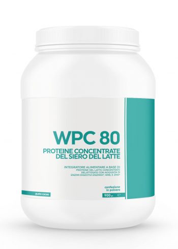 WPC 80 Whey Protein Concentrate
